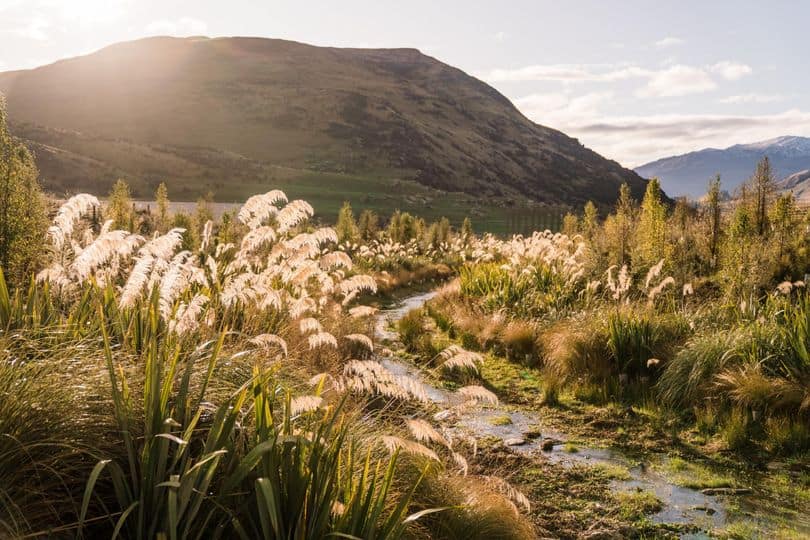 hanley's farm creek queenstown