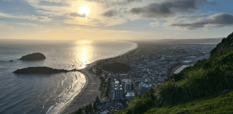 Fowler-Homes-Bay-of-Plenty-Tauranga-1