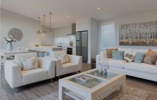 Open living lounge and kitchen